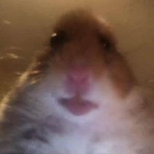 Meet your Posher, Meme_god